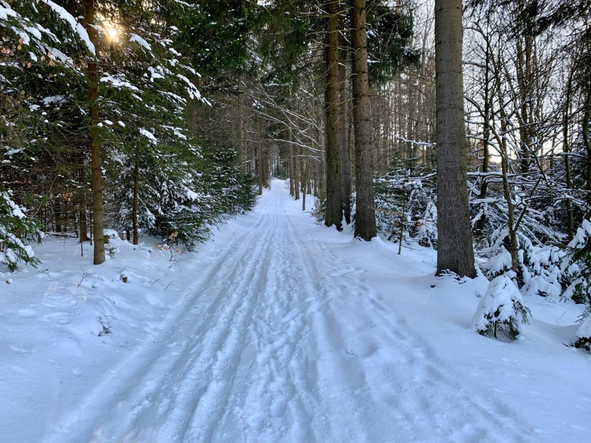Apartmán Haus Donnerberg Rehefeld Altenberg  Exteriér fotografie