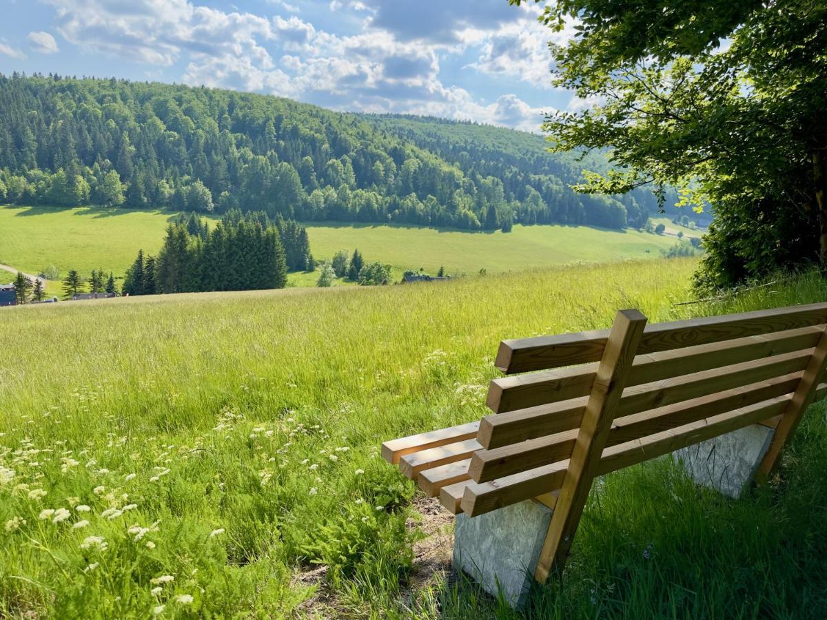 Apartmán Haus Donnerberg Rehefeld Altenberg  Exteriér fotografie