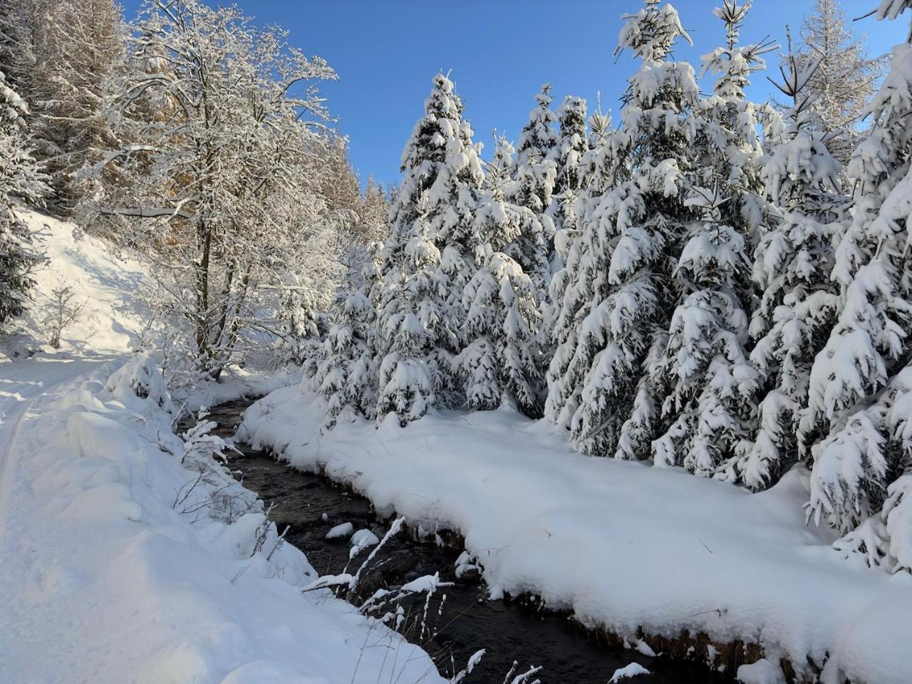 Apartmán Haus Donnerberg Rehefeld Altenberg  Exteriér fotografie
