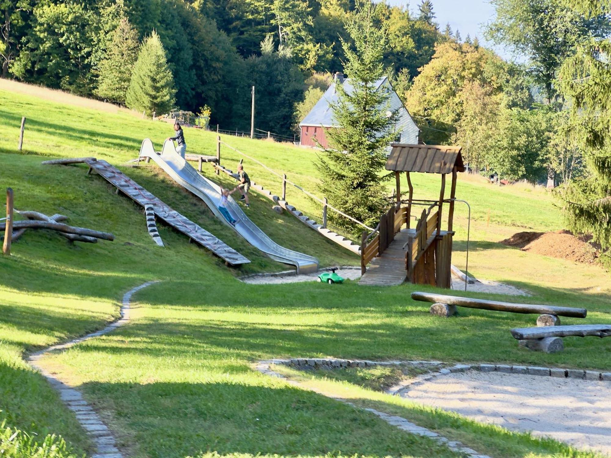 Apartmán Haus Donnerberg Rehefeld Altenberg  Exteriér fotografie