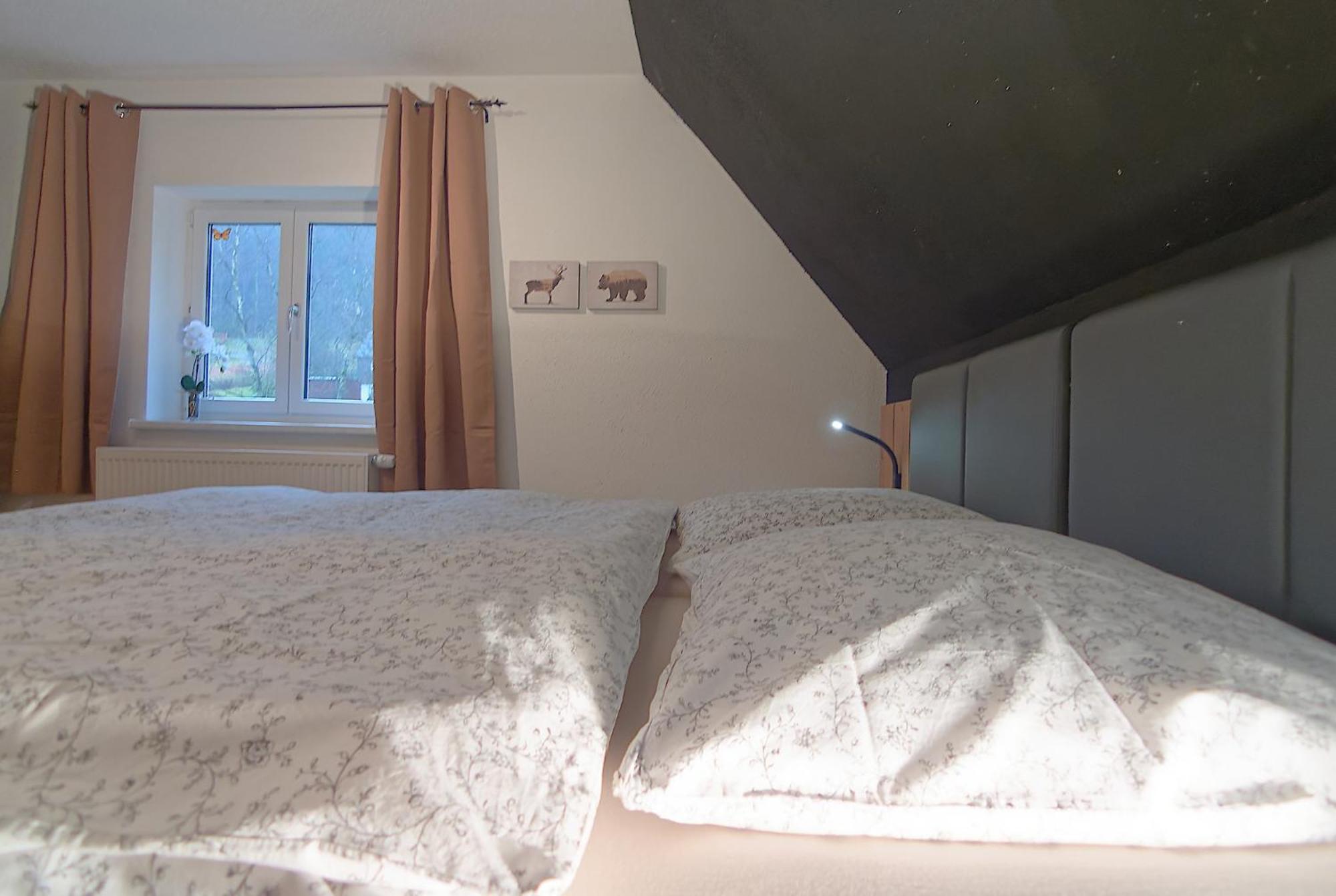 Apartmán Haus Donnerberg Rehefeld Altenberg  Exteriér fotografie